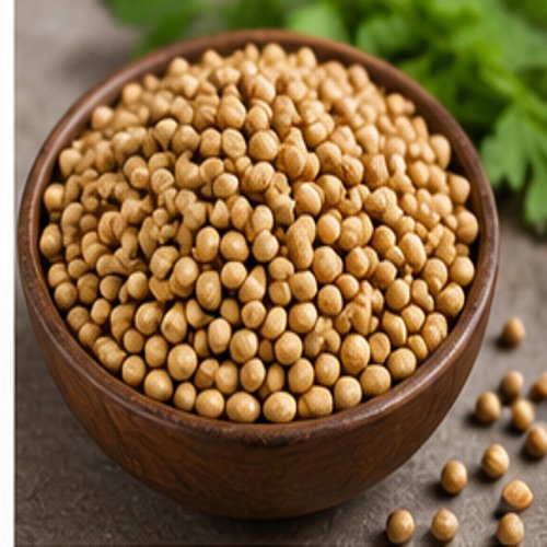 Coriander in Hari Nagar