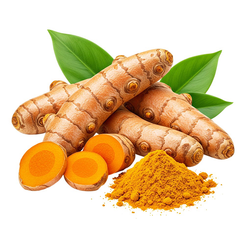 Turmeric in Hari Nagar